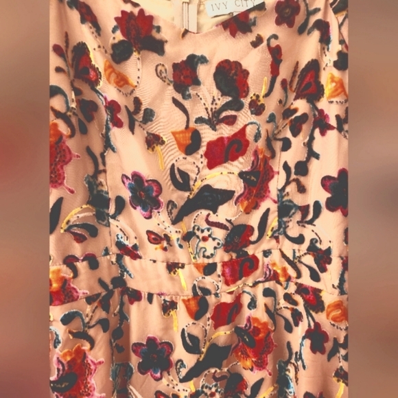 Ivy City Velvet Burnout Floral Dress - Picture 6 of 9